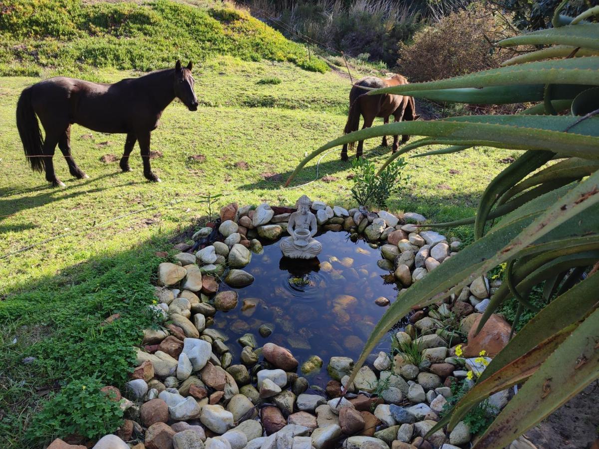 The Riverstone - Romantic Hideaway By The River - Loadshedding Free! Napier Buitenkant foto