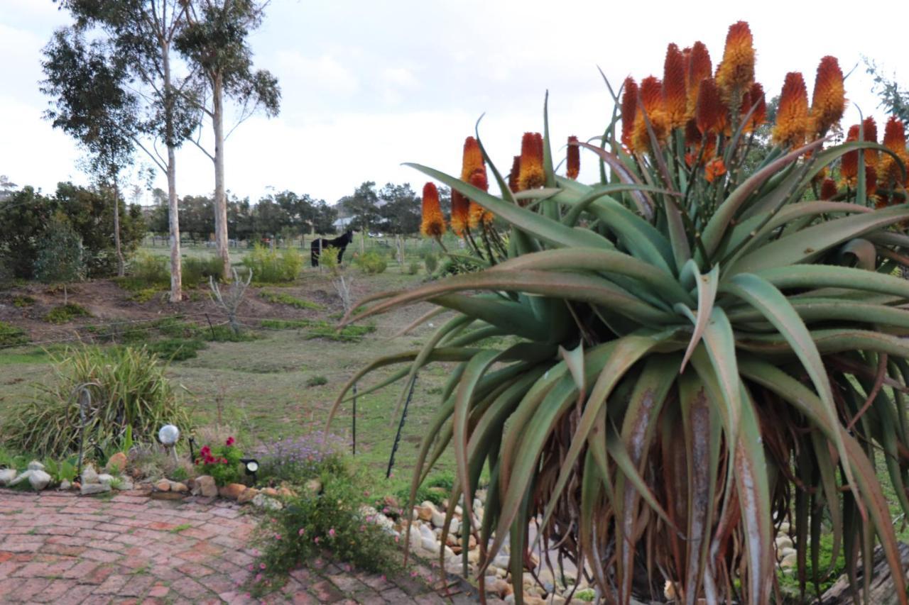 The Riverstone - Romantic Hideaway By The River - Loadshedding Free! Napier Buitenkant foto